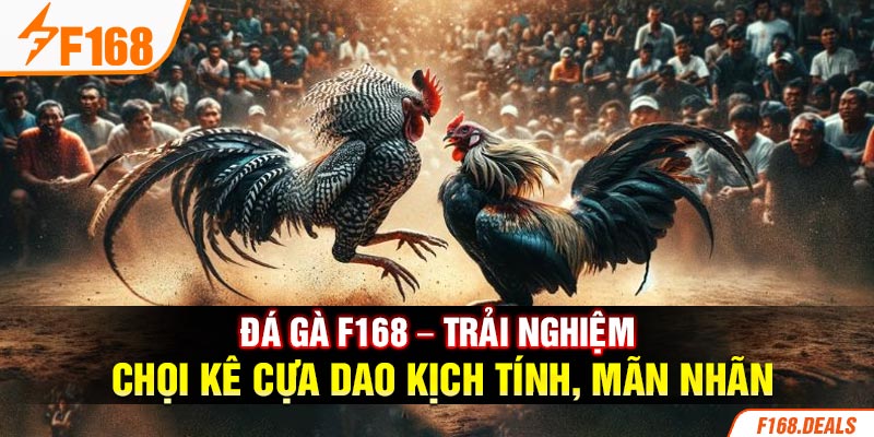 Đá gà F168 – Trải nghiệm chọi kê cựa dao kịch tính, mãn nhãn