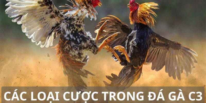 Các loại hình kèo cược C3