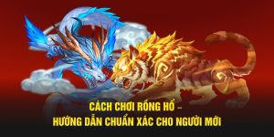 Cách Chơi Rồng Hổ – Hướng Dẫn Chuẩn Xác Cho Người Mới