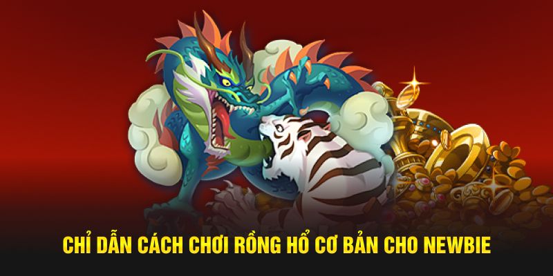 Chỉ dẫn cách chơi Rồng Hổ cơ bản cho newbie