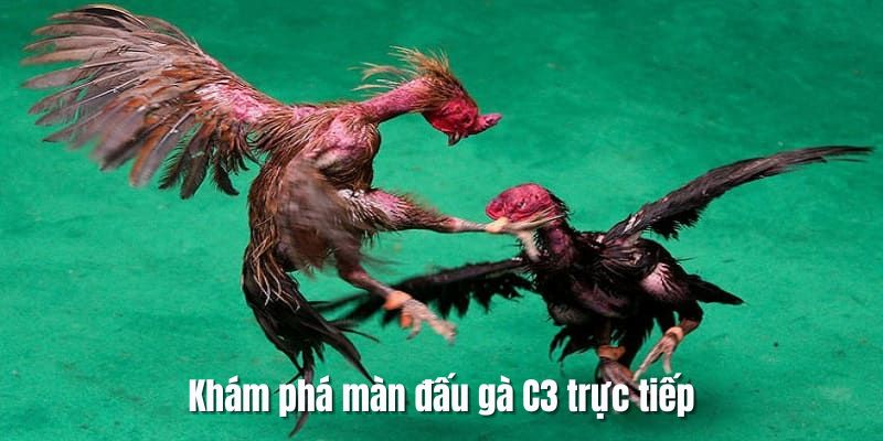 Giới thiệu về loại hình C3