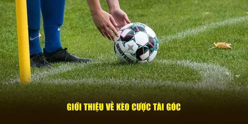 Giới thiệu về kèo cược tài góc